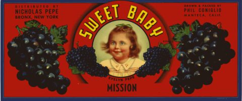 Sweet Baby